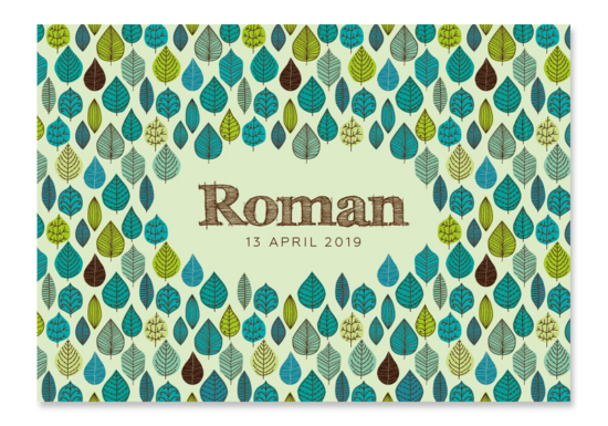 Roman - hoofdfoto
