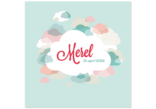 Merel hoofdfoto