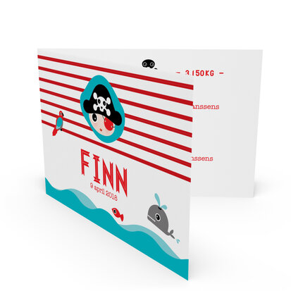 Finn 3D