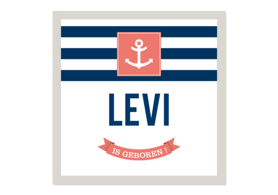 Levi Hoofdfoto