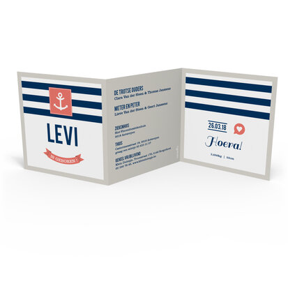 Levi 3D