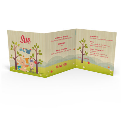 Sue 3D