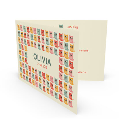 Olivia 3D