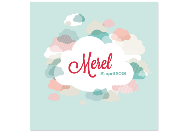 Merel hoofdfoto