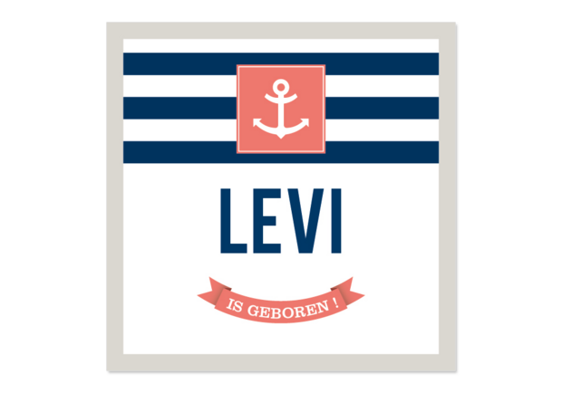 Levi Hoofdfoto