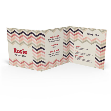 Rosie 3D