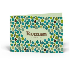 Geboortekaartje Roman 