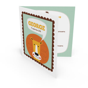 Geboortekaartje George