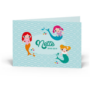 Geboortekaartje Nette