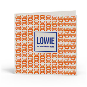 Geboortekaartje Lowie