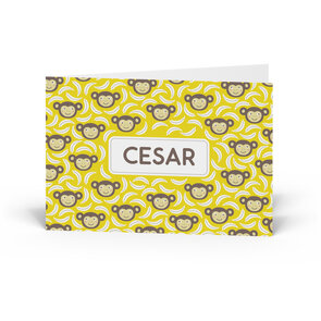 Geboortekaartje Cesar