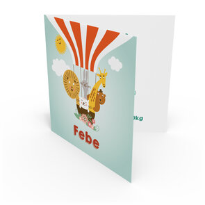 Geboortekaartje Febe