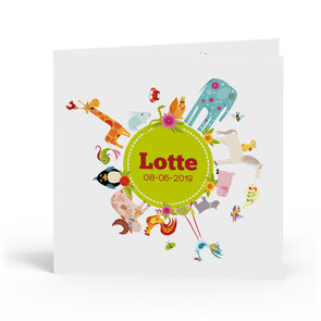 Geboortekaartje Lotte