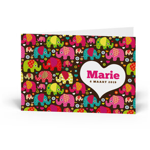 Geboortekaartje Marie