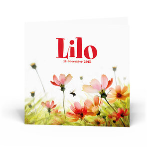 Geboortekaartje Lilo