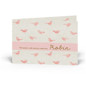 Geboortekaartje Robin 
