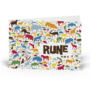 Geboortekaartje Rune