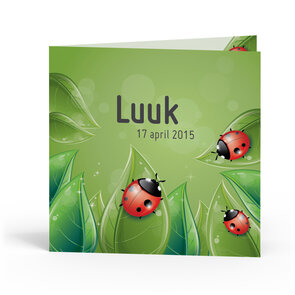 Geboortekaartje Luuk